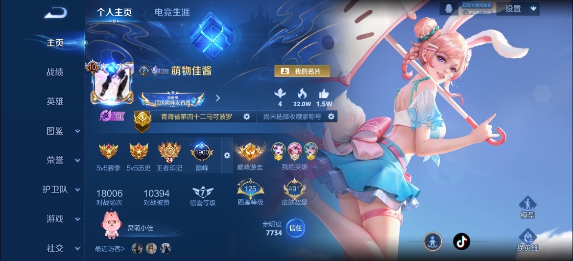 王者荣耀陪玩服务