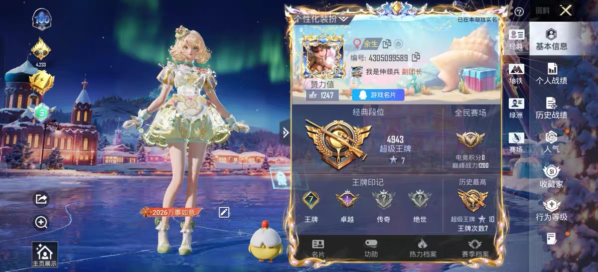 和平精英陪玩服务