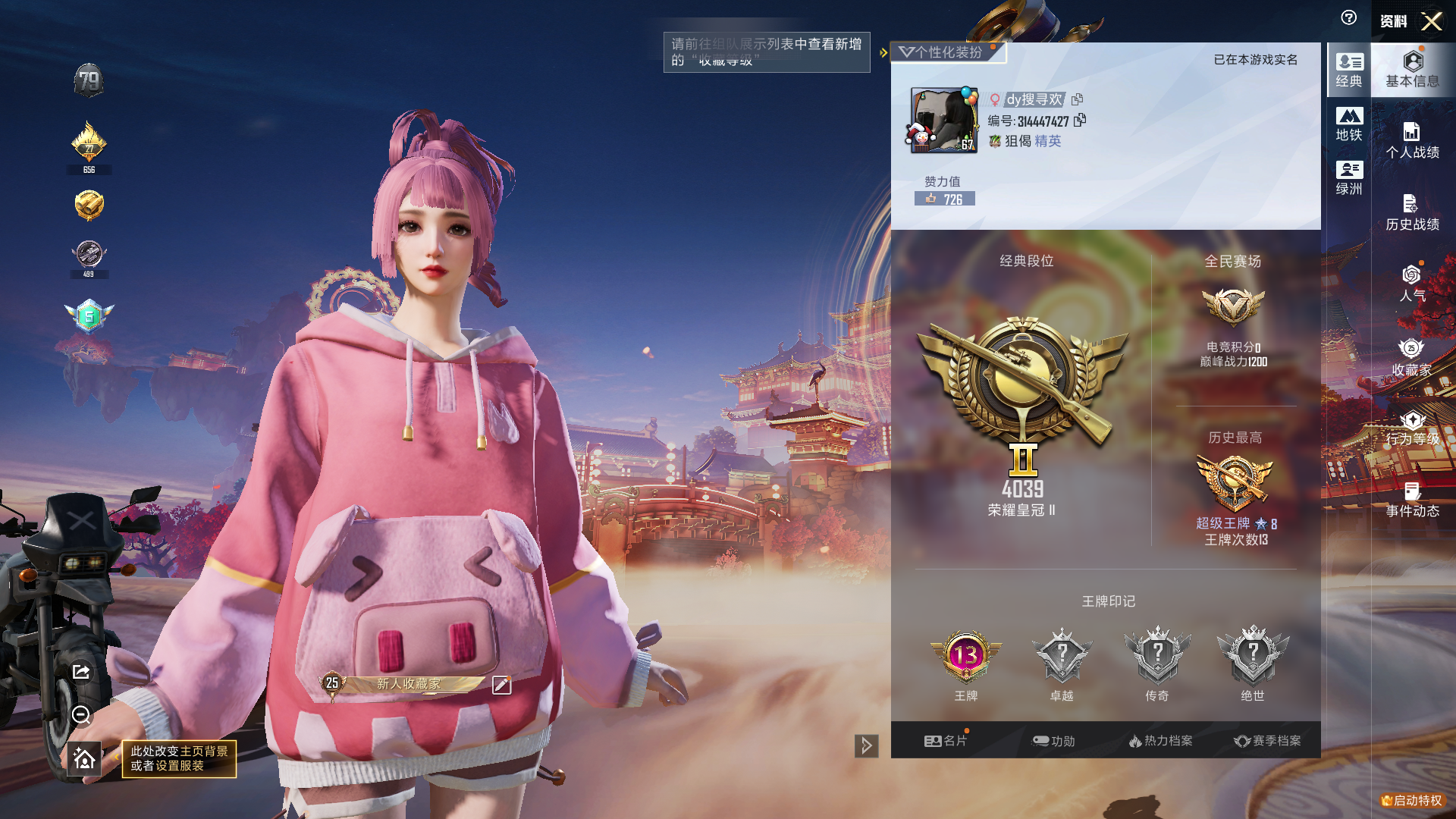 和平精英陪玩服务