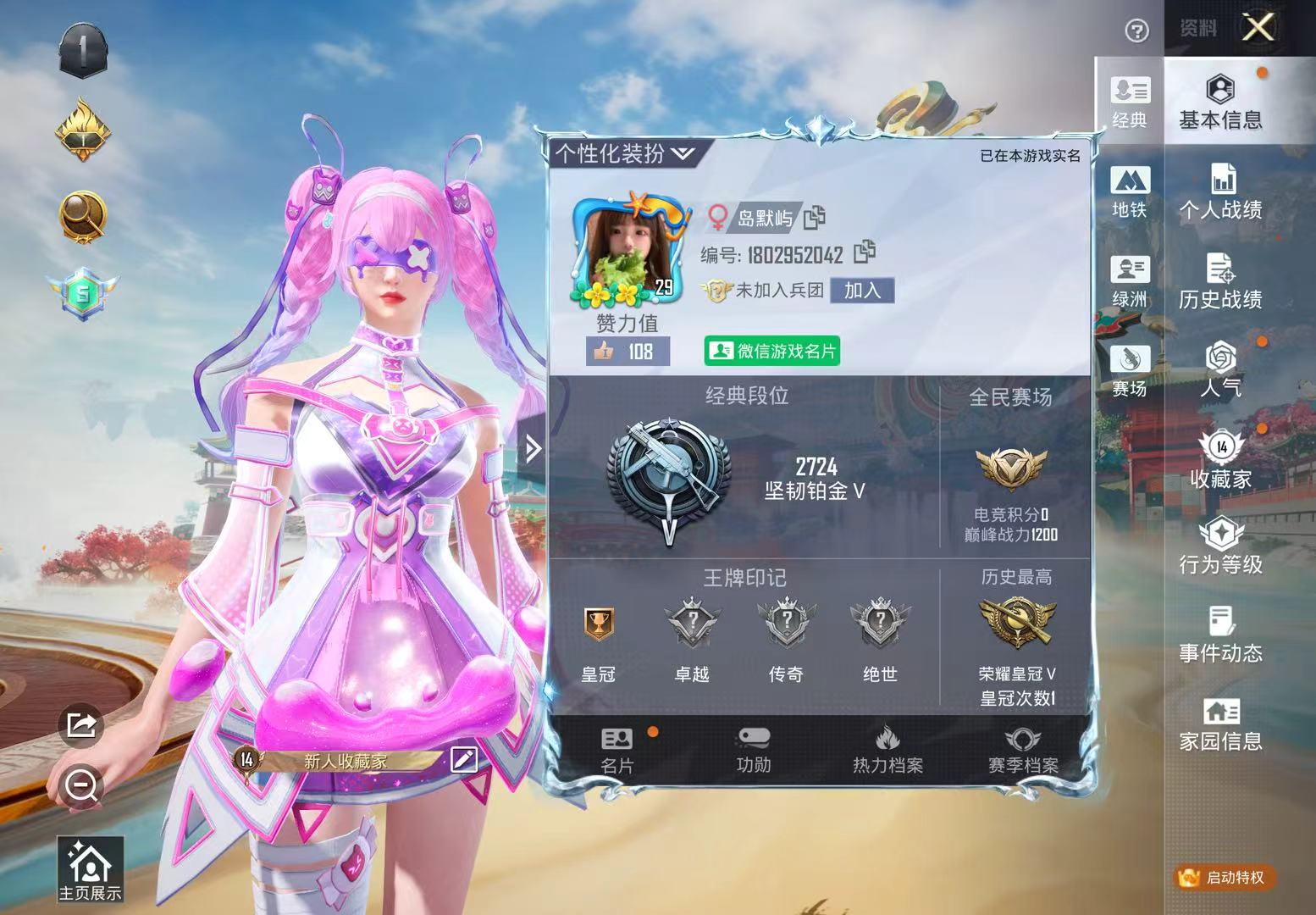 和平精英陪玩服务