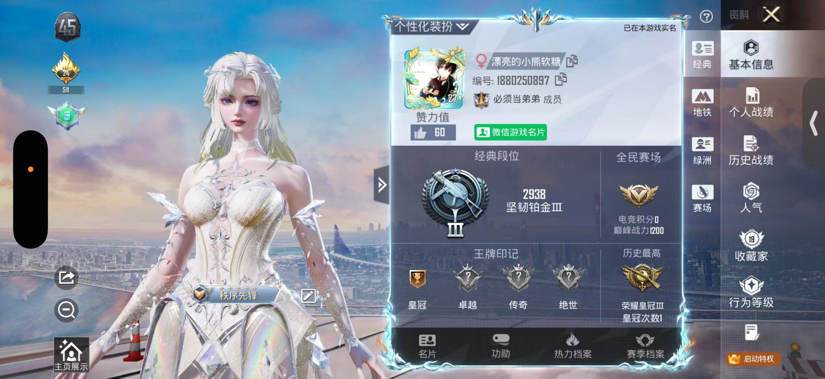 和平精英陪玩服务