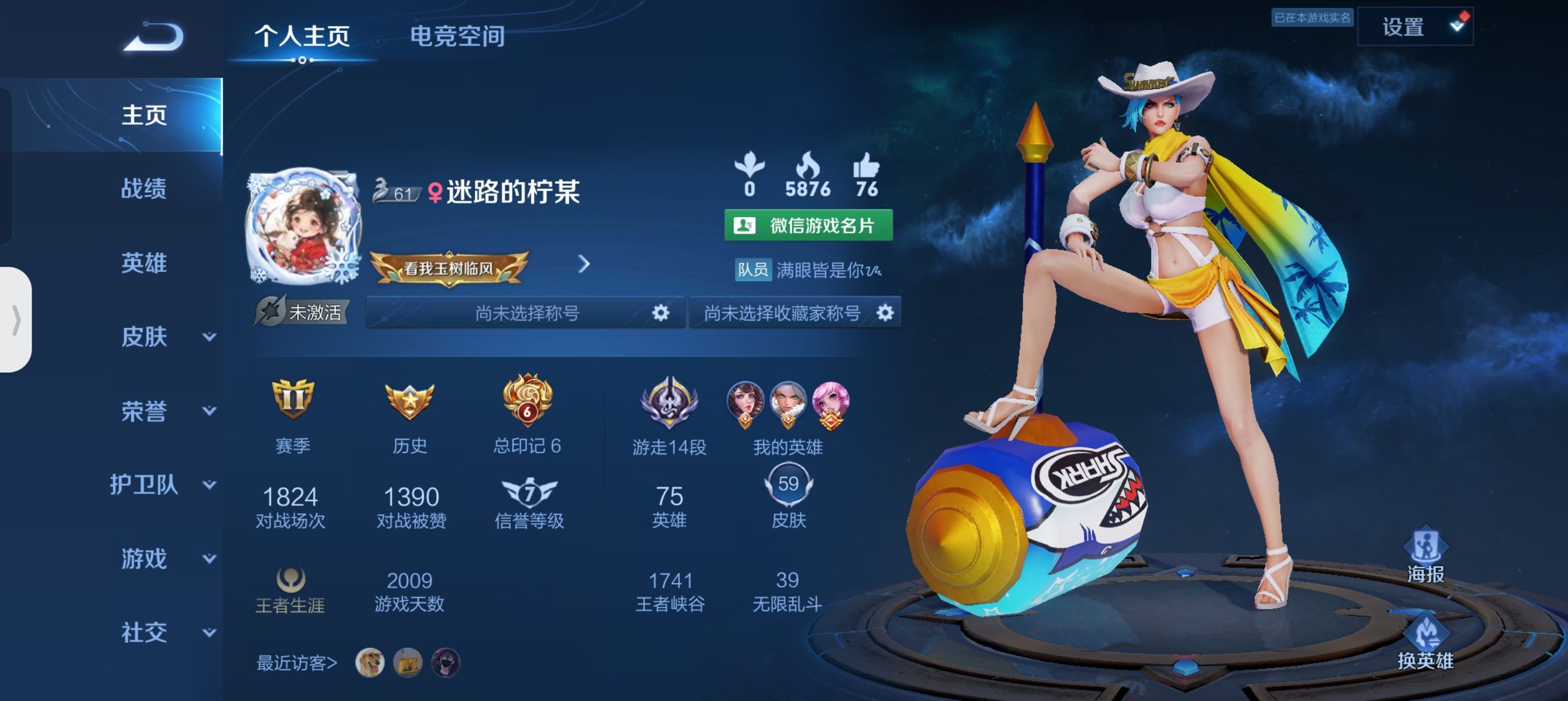 王者荣耀陪玩服务