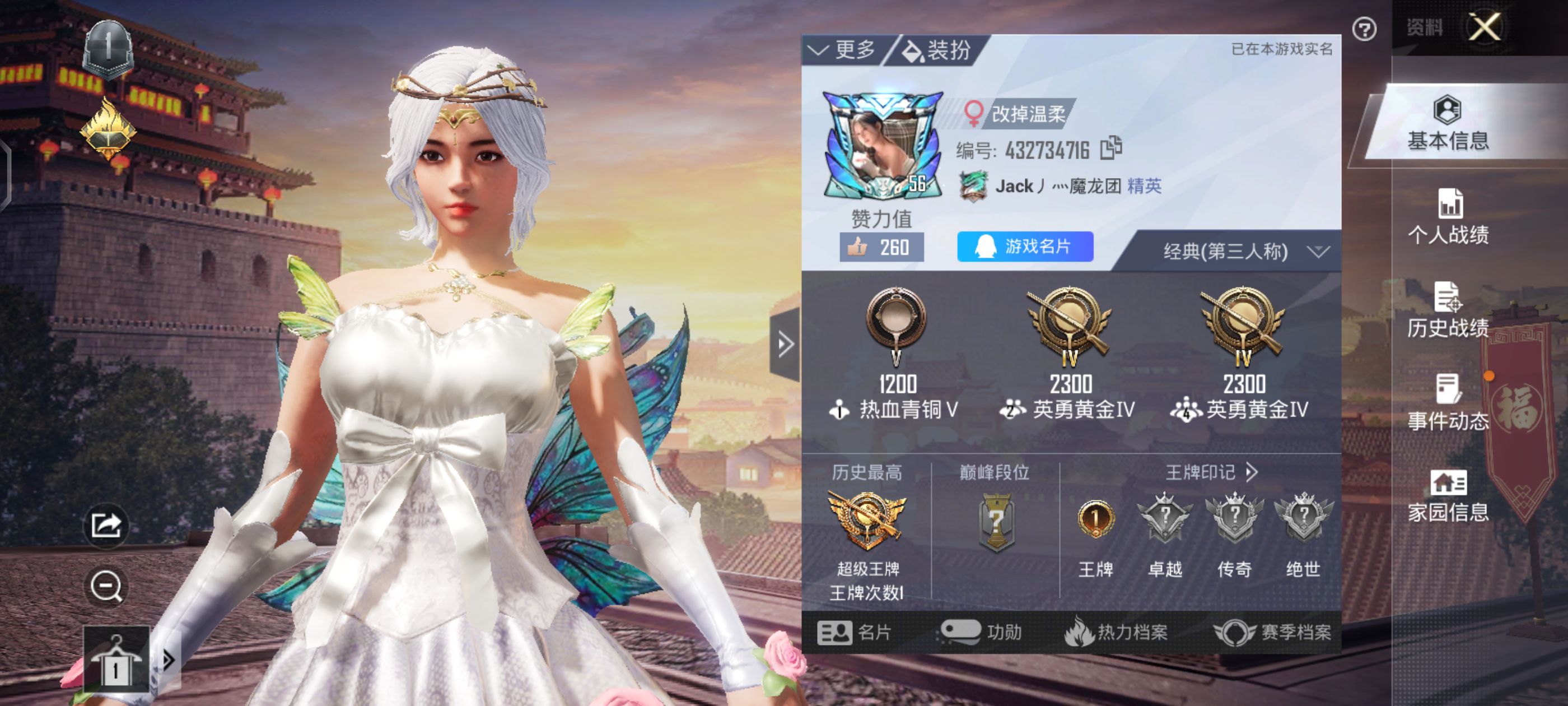 和平精英陪玩服务