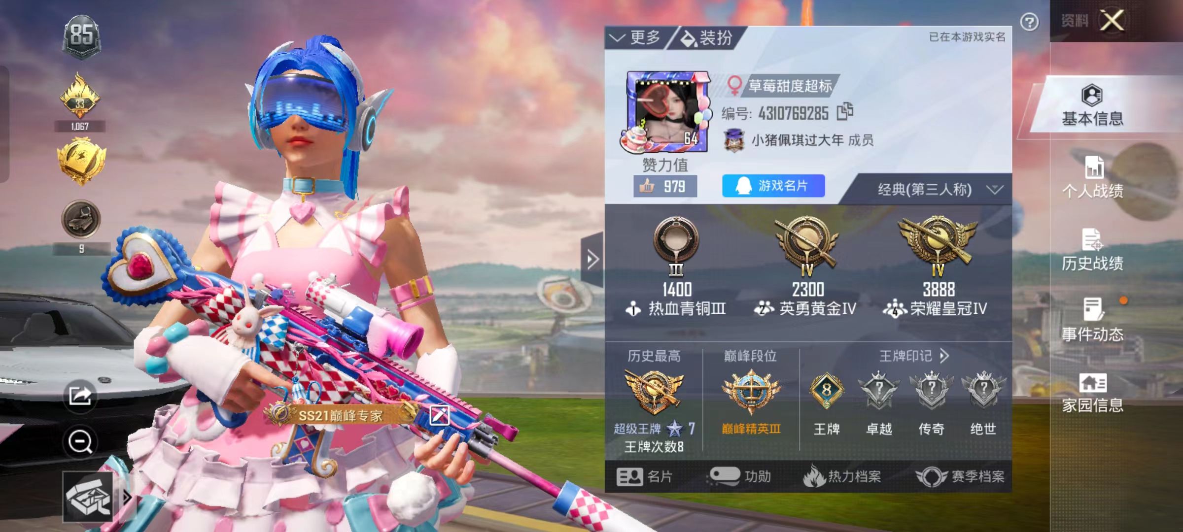 和平精英陪玩服务