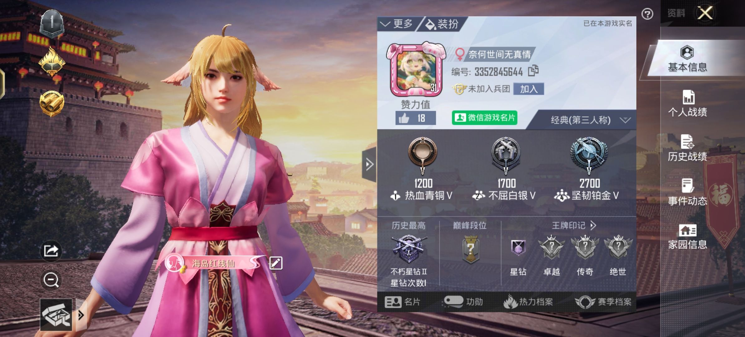 和平精英陪玩服务