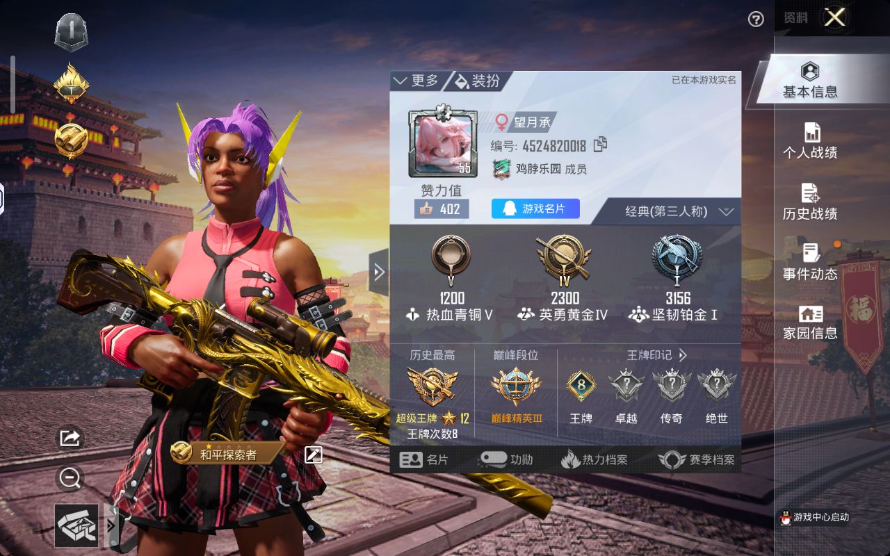 和平精英陪玩服务