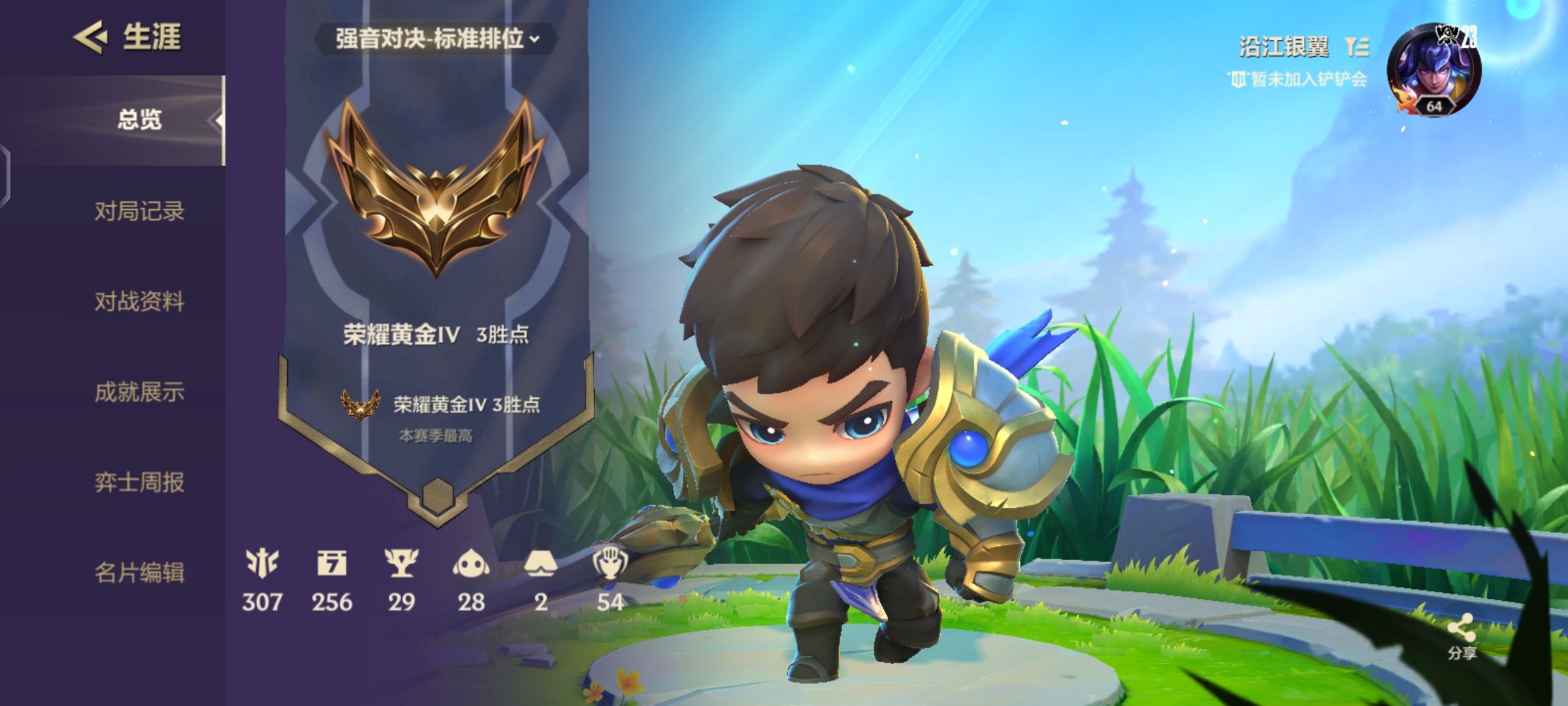 金铲铲之战陪玩服务