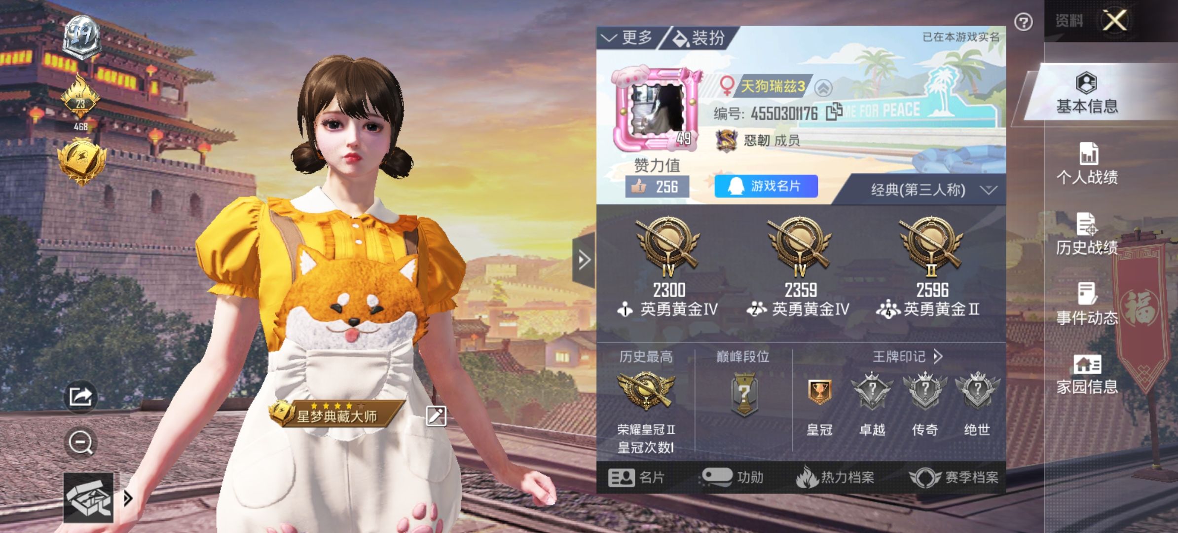 和平精英陪玩服务