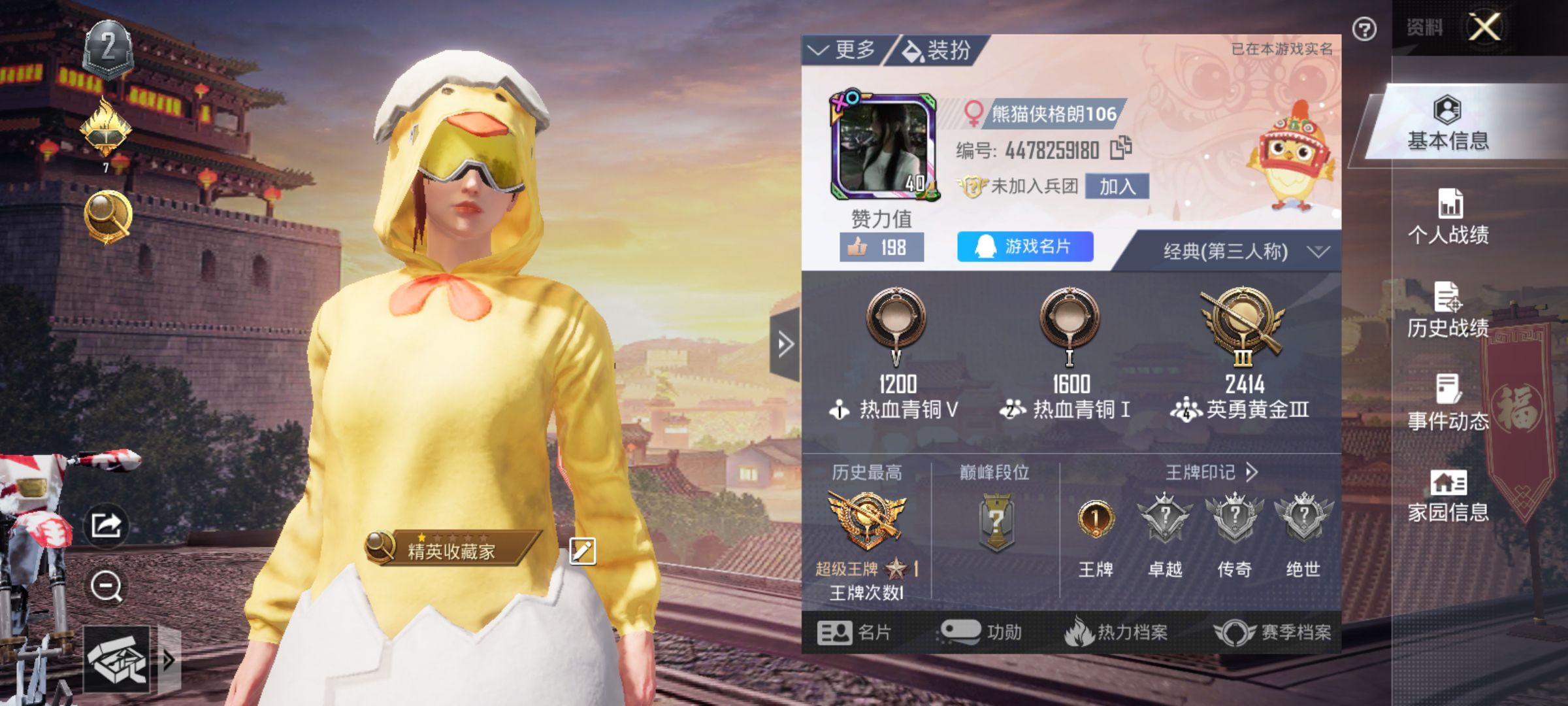 和平精英陪玩服务