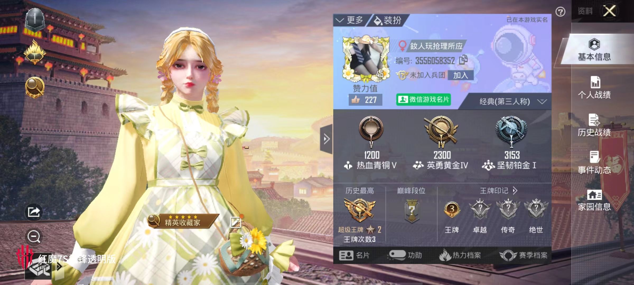 和平精英陪玩服务