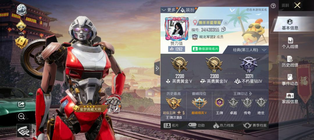 和平精英陪玩服务
