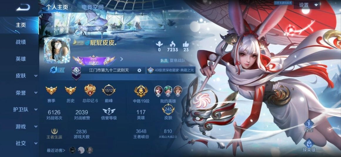 王者荣耀陪玩服务
