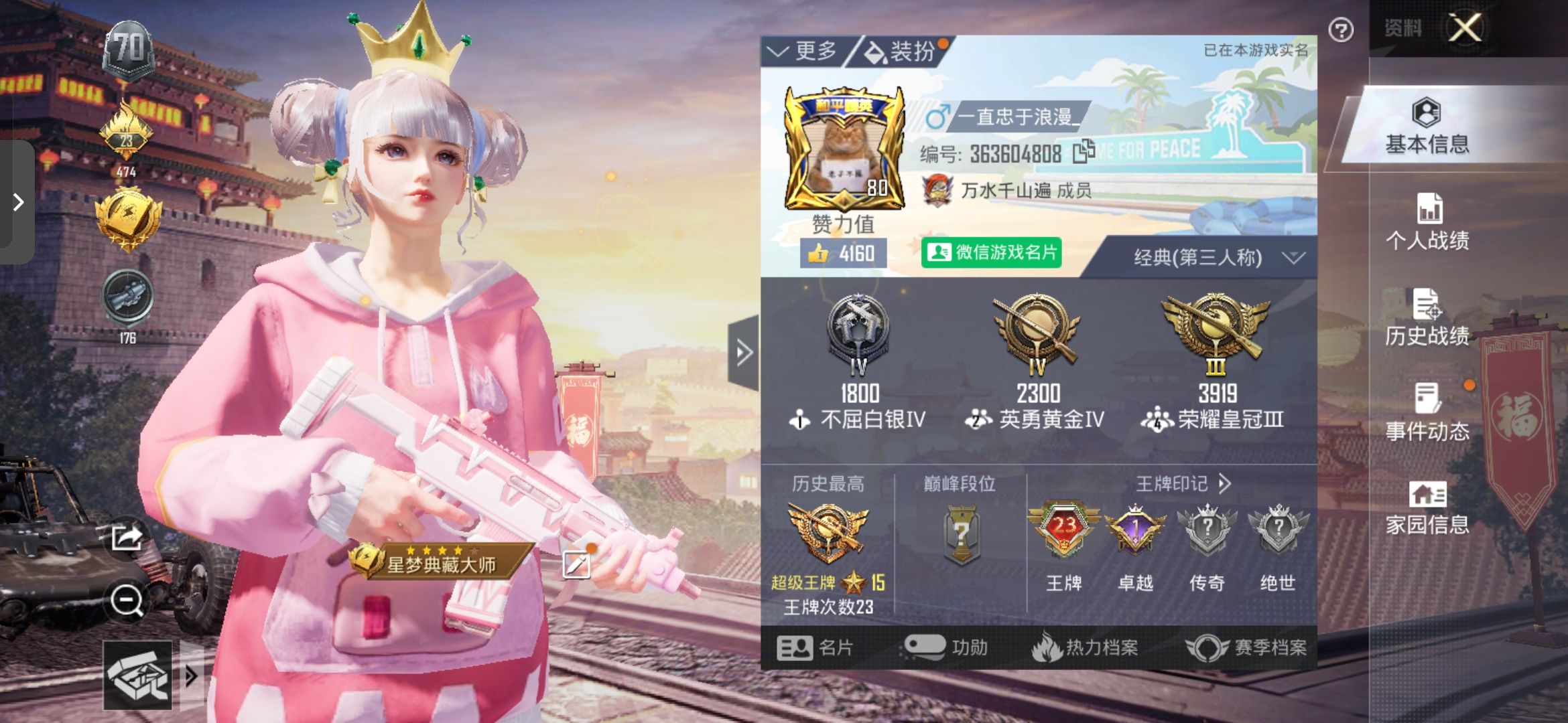 和平精英陪玩服务