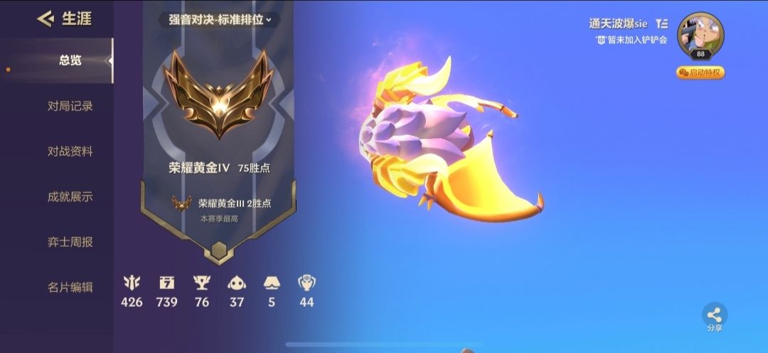 金铲铲之战陪玩服务