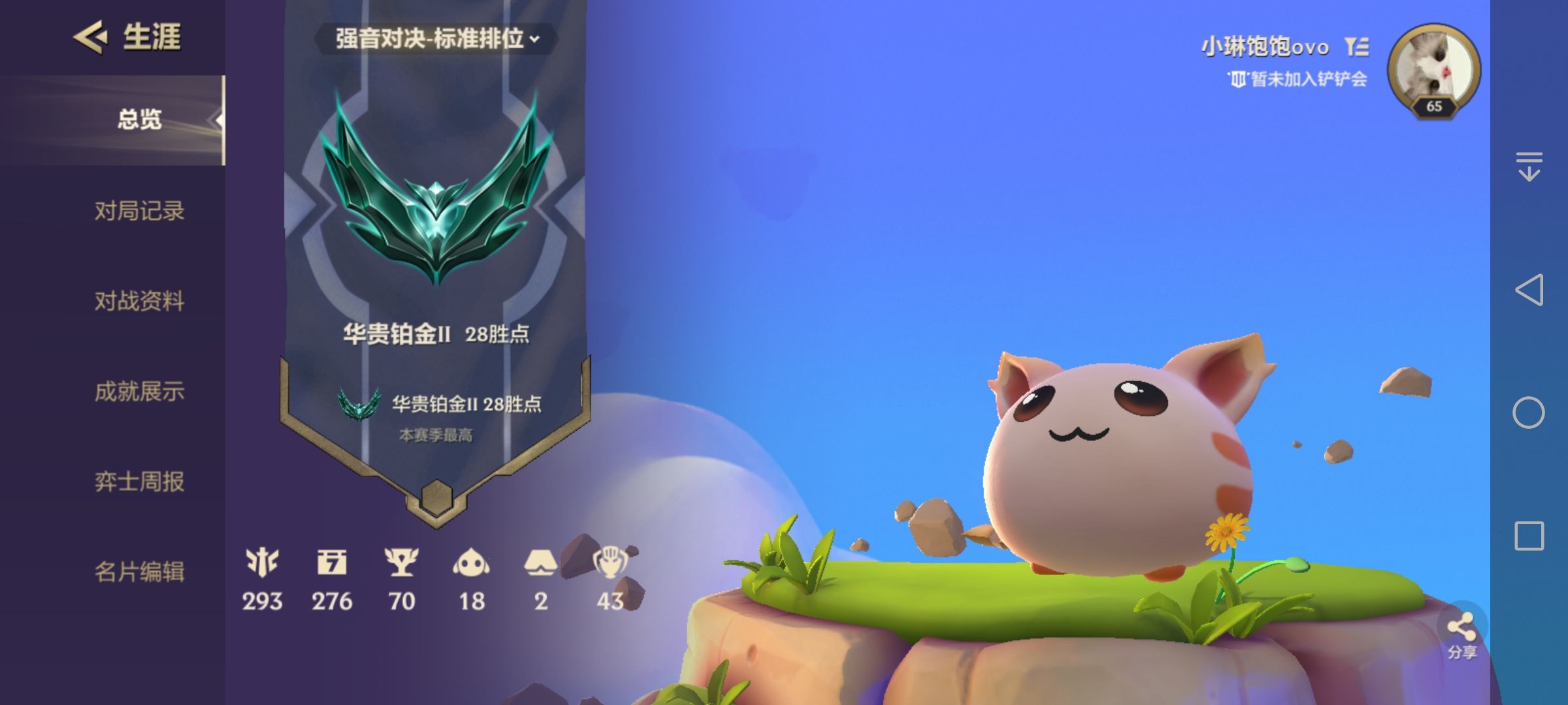 金铲铲之战陪玩服务