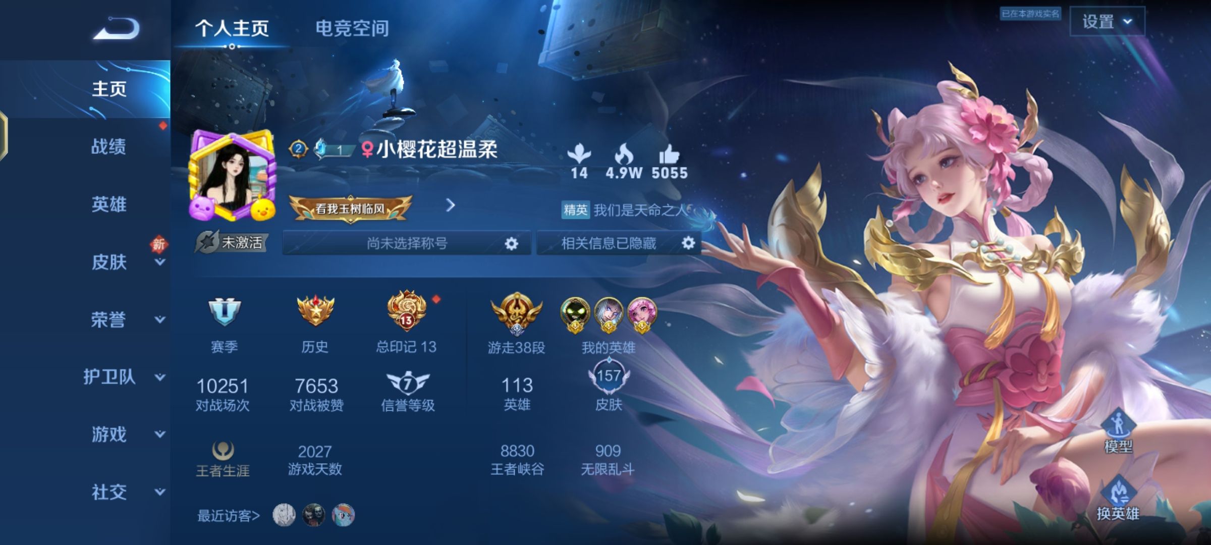 王者荣耀陪玩服务