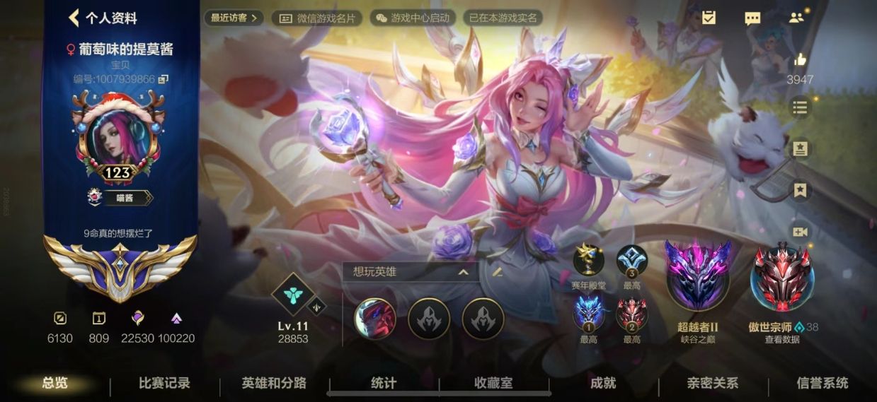 LOL手游陪玩服务