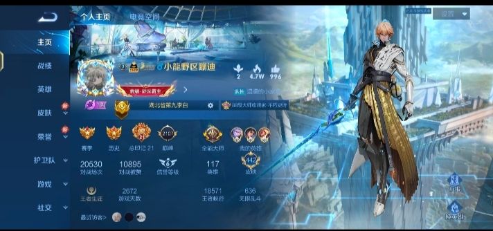 王者荣耀陪玩服务