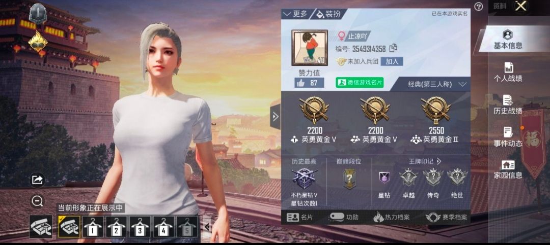 和平精英陪玩服务
