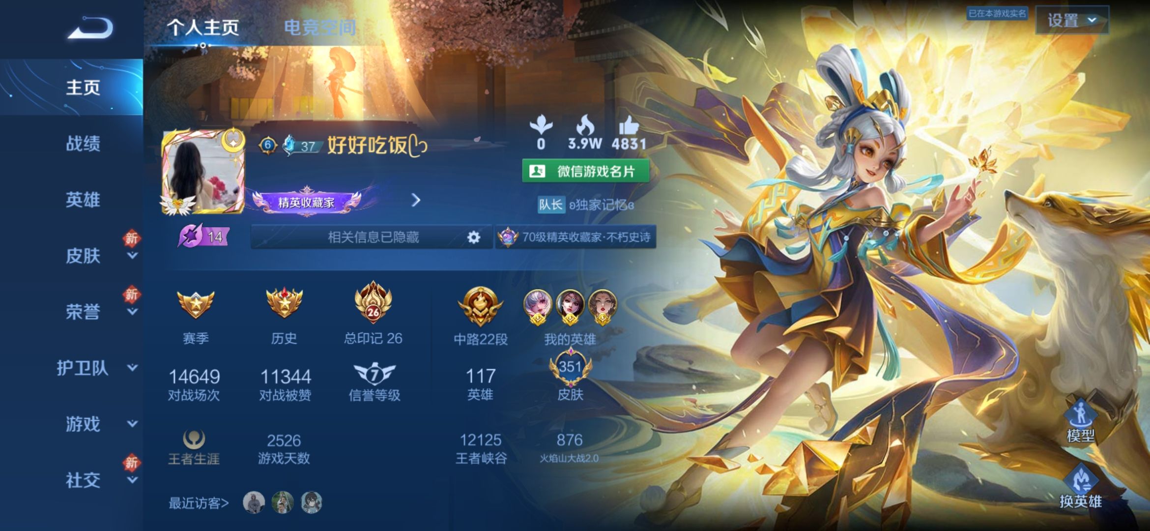 王者荣耀陪玩服务