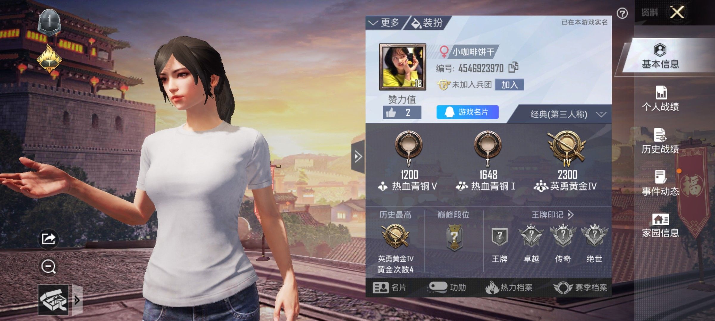 和平精英陪玩服务
