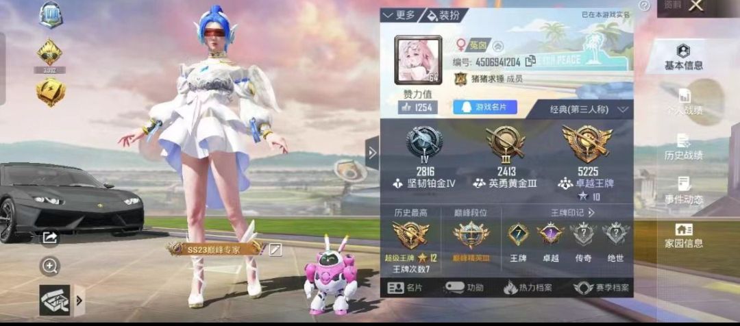 和平精英陪玩服务
