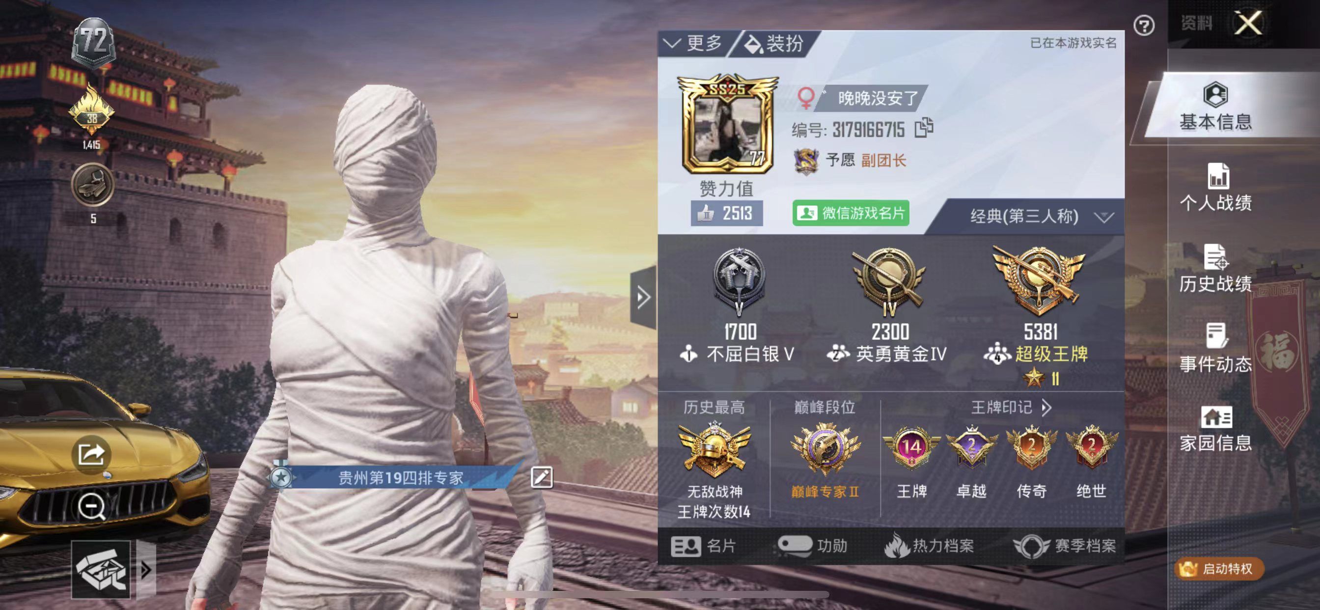 和平精英陪玩服务