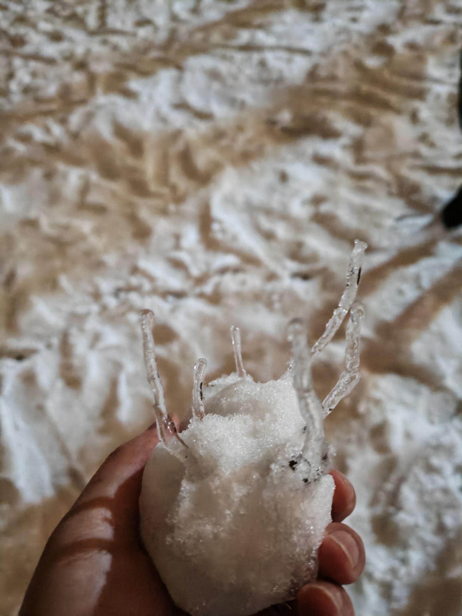 陪玩妹子醒猫kk的照片3