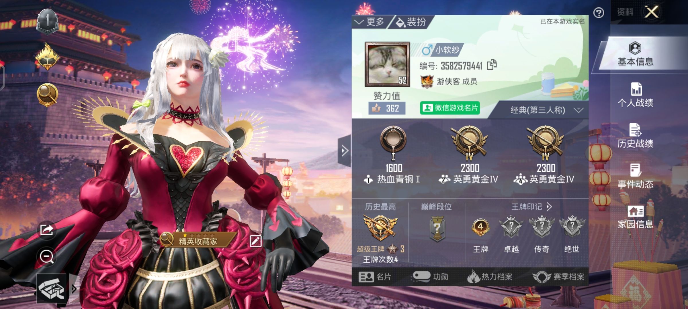 和平精英陪玩服务