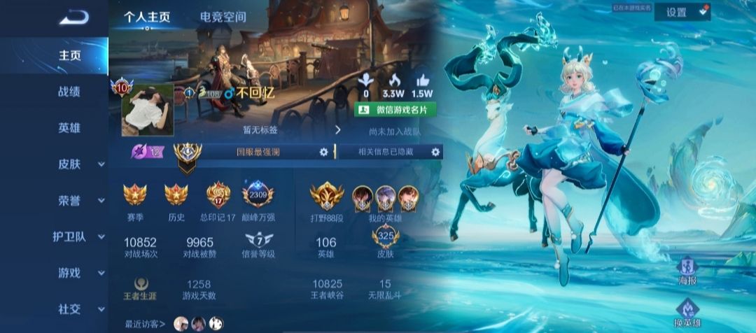 王者荣耀陪玩服务
