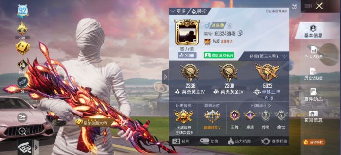和平精英陪玩服务