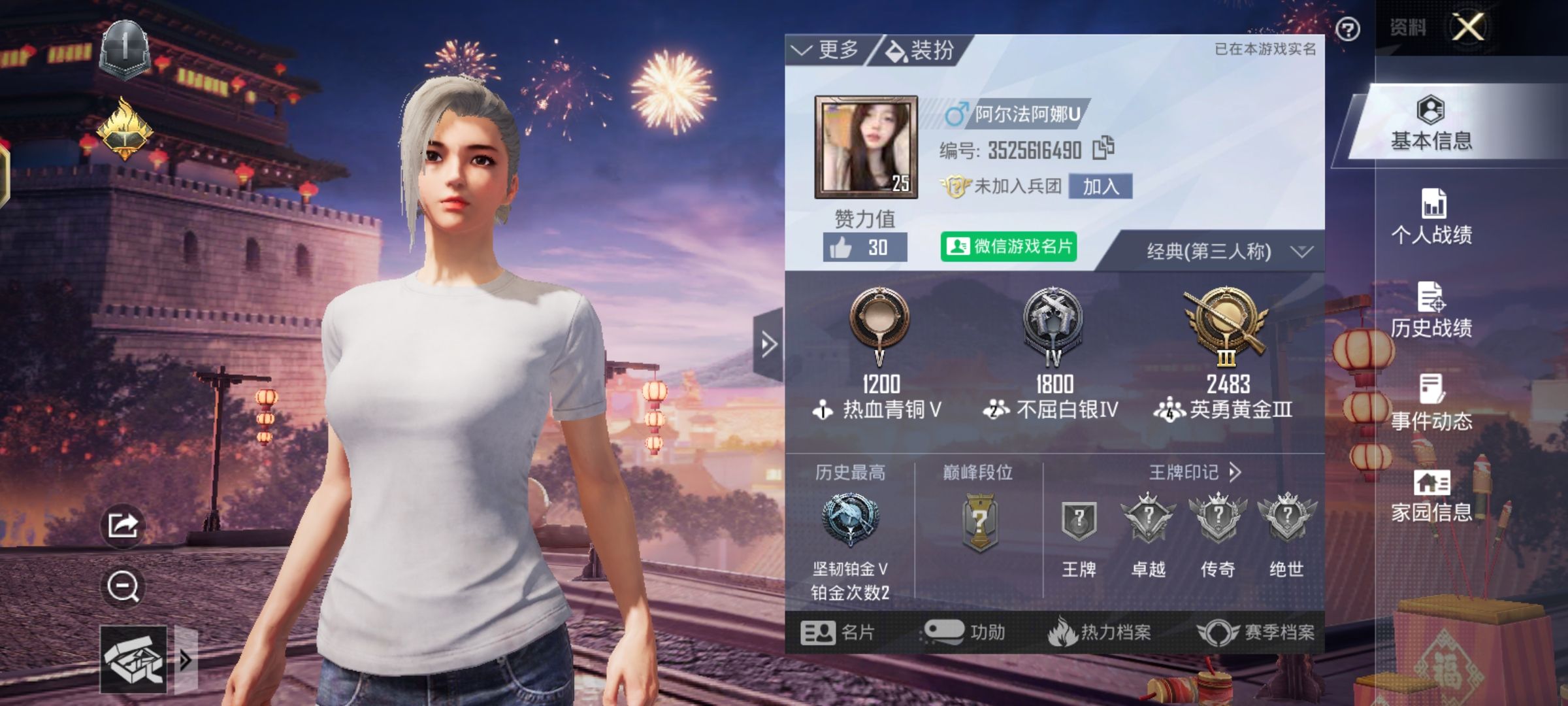 和平精英陪玩服务