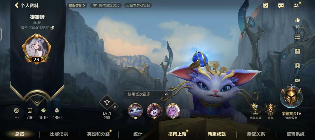 LOL手游陪玩服务