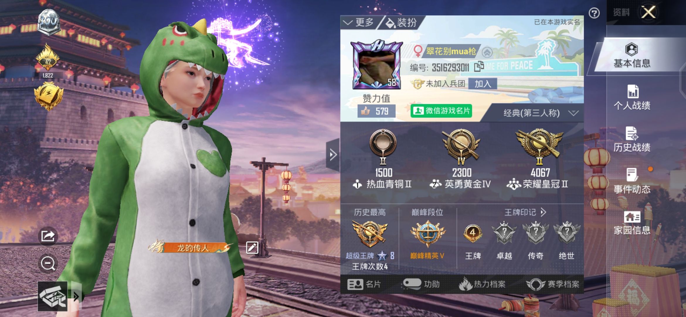 和平精英陪玩服务