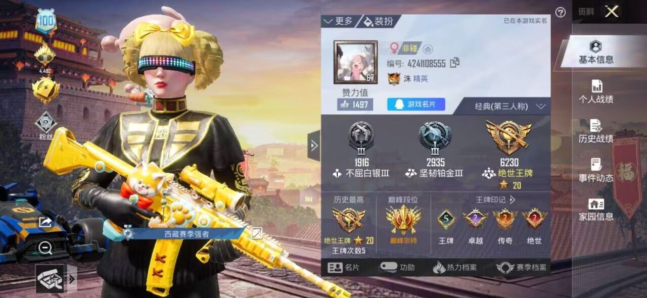 和平精英陪玩服务