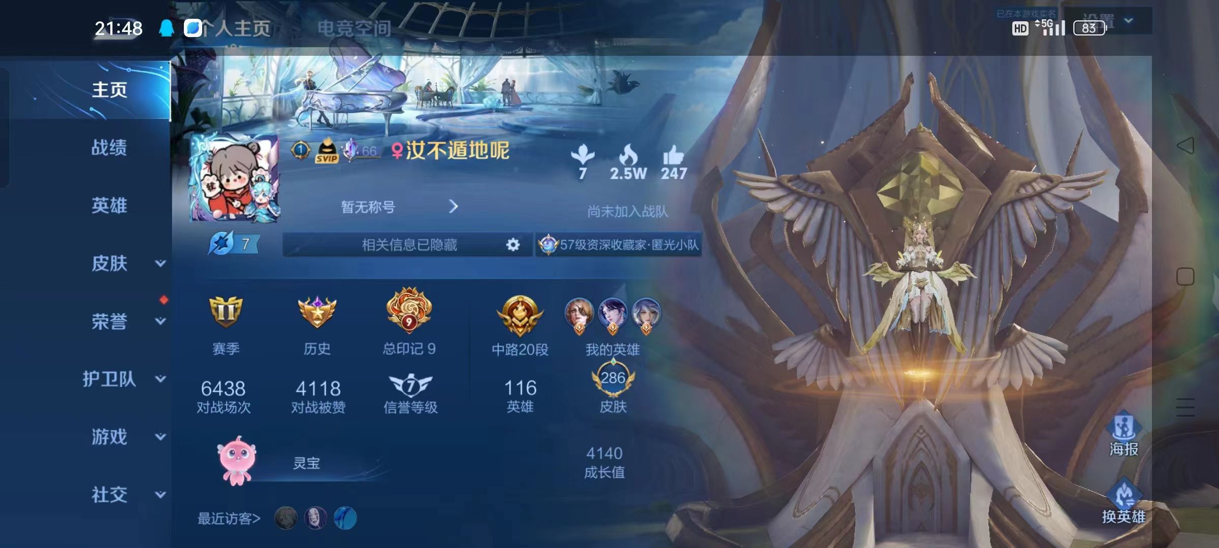 王者荣耀陪玩服务