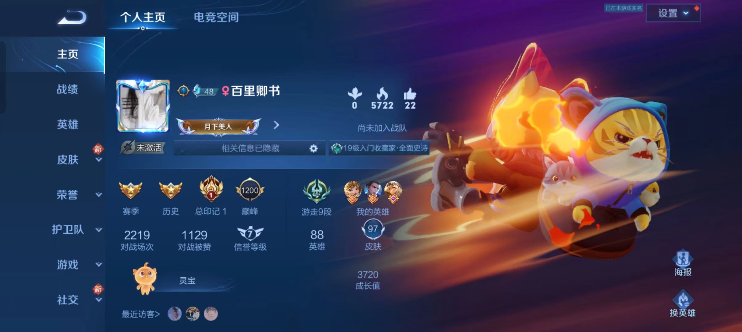 王者荣耀陪玩服务