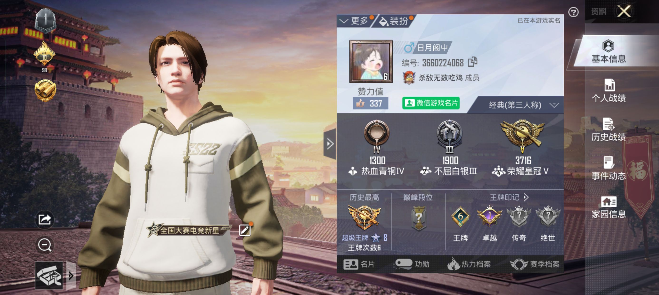 和平精英陪玩服务