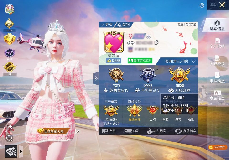 和平精英陪玩服务
