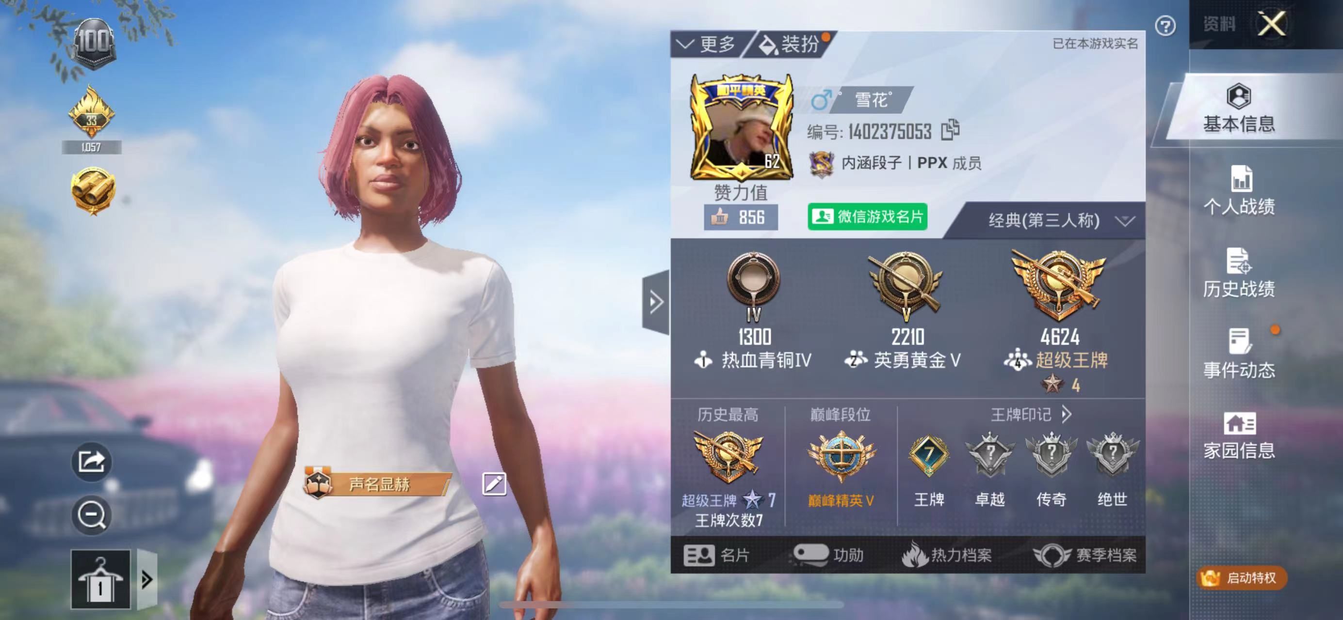 和平精英陪玩服务