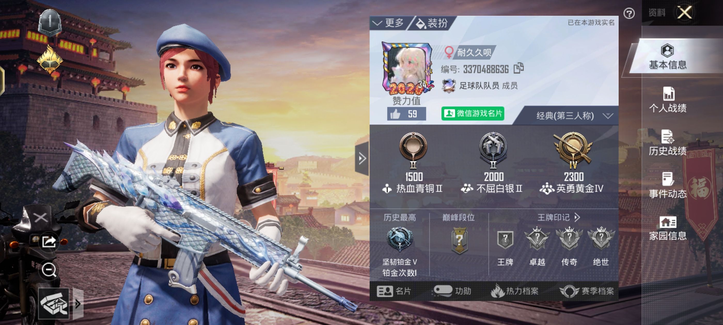 和平精英陪玩服务