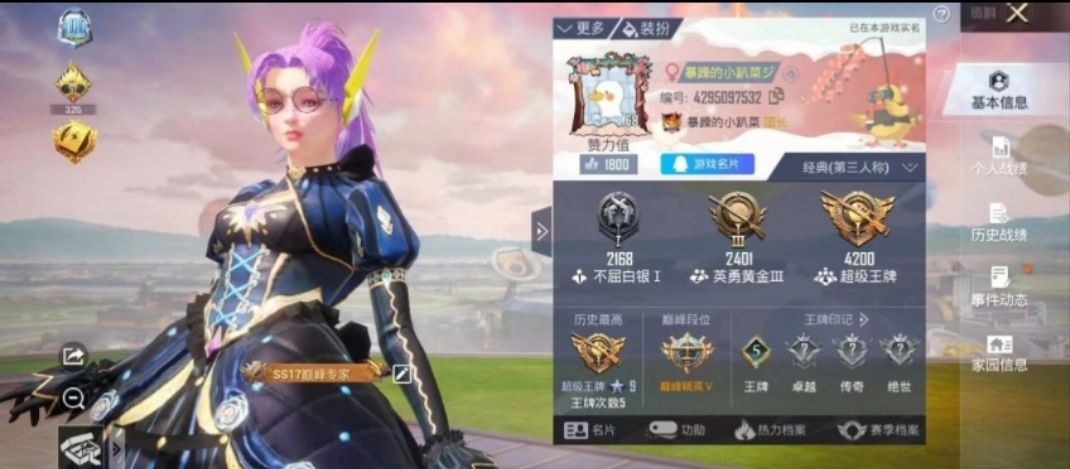 和平精英陪玩服务