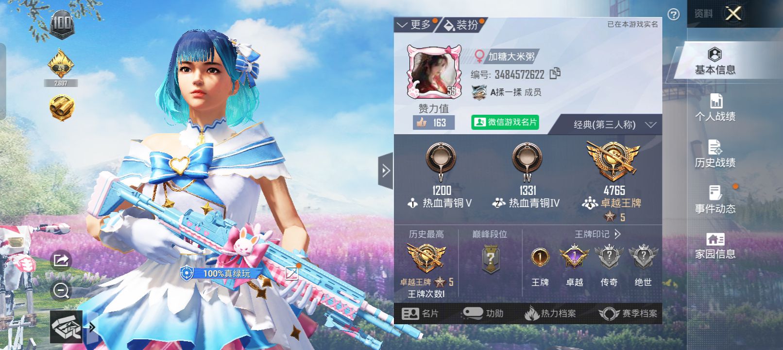 和平精英陪玩服务