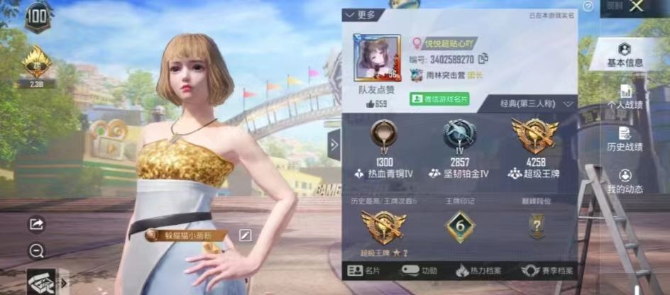 和平精英陪玩服务