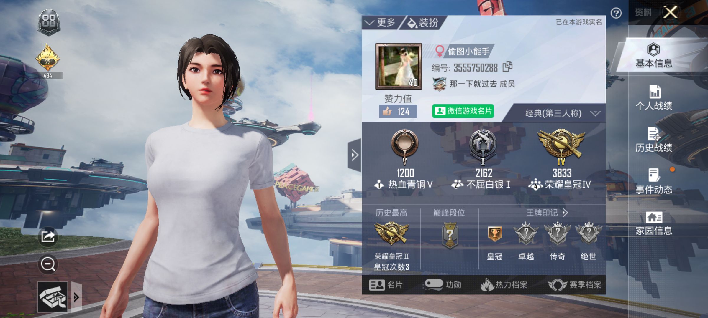 和平精英陪玩服务