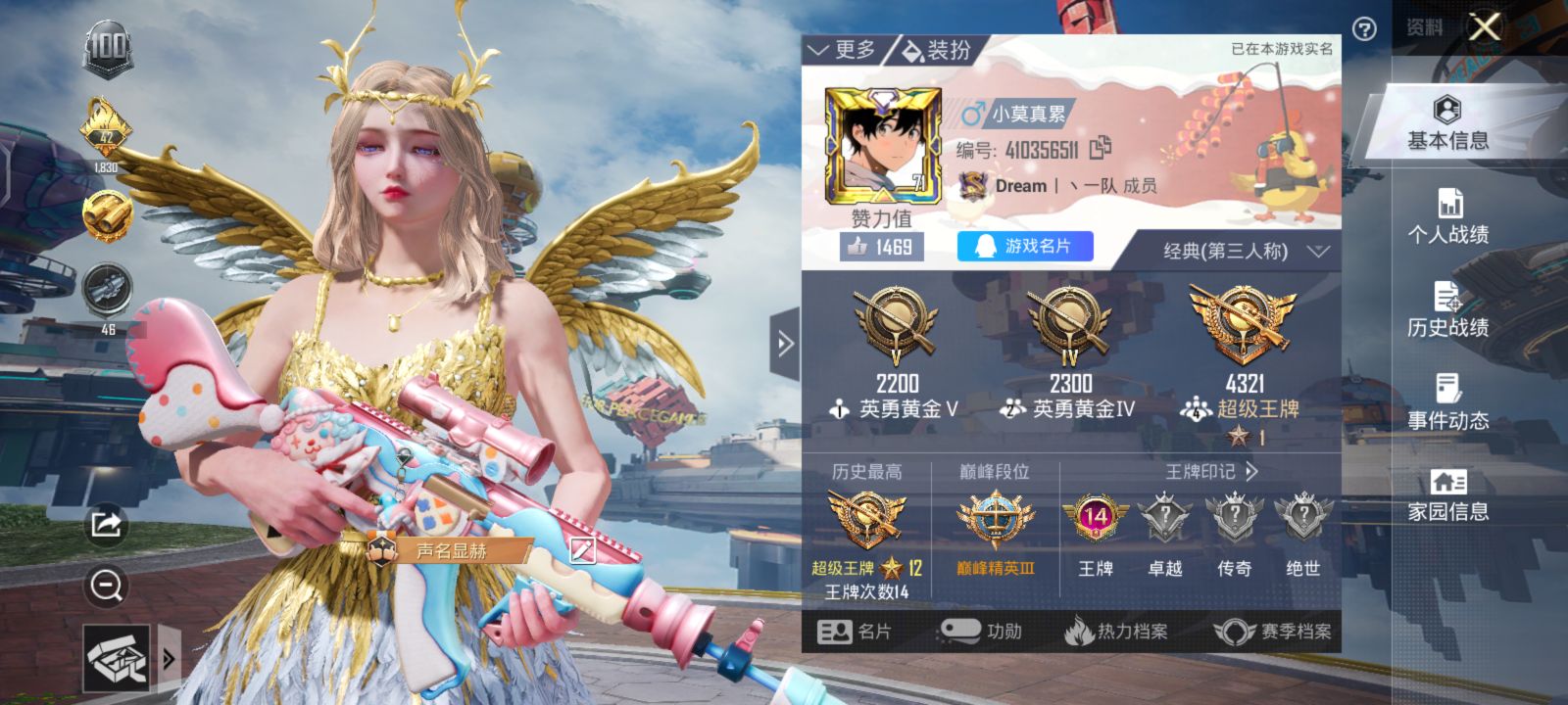和平精英陪玩服务