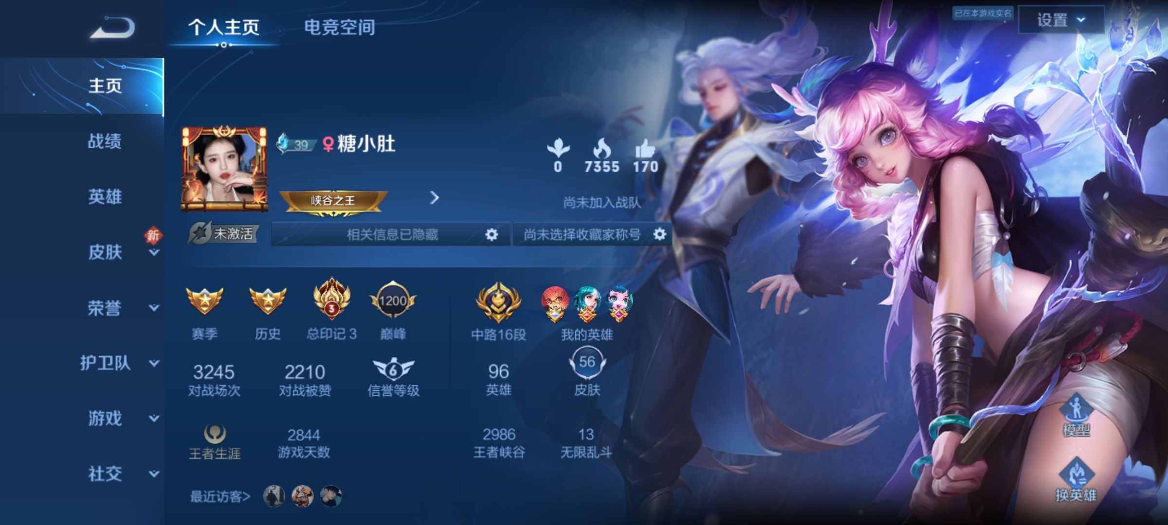 王者荣耀陪玩服务