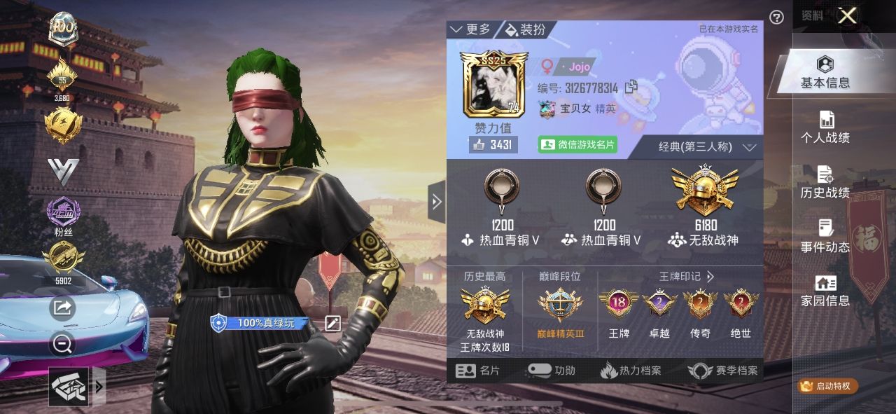 和平精英陪玩服务