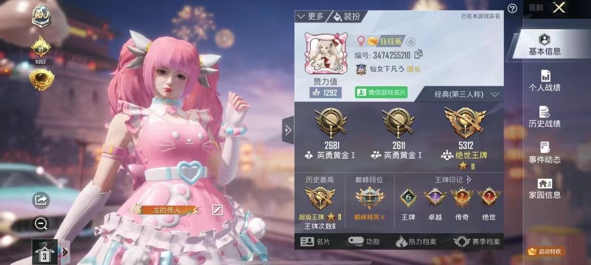 和平精英陪玩服务