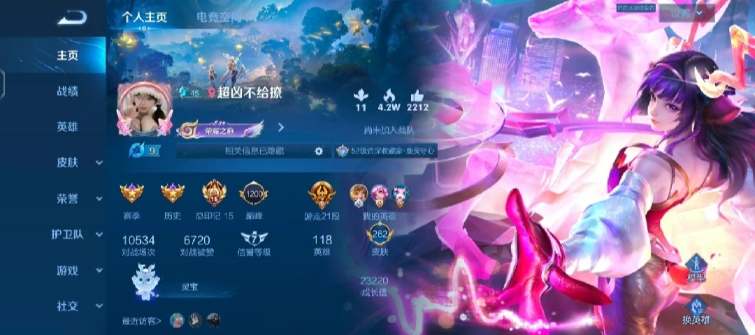 王者荣耀陪玩服务